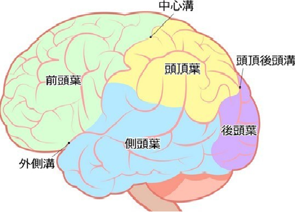 落語を聴く効能